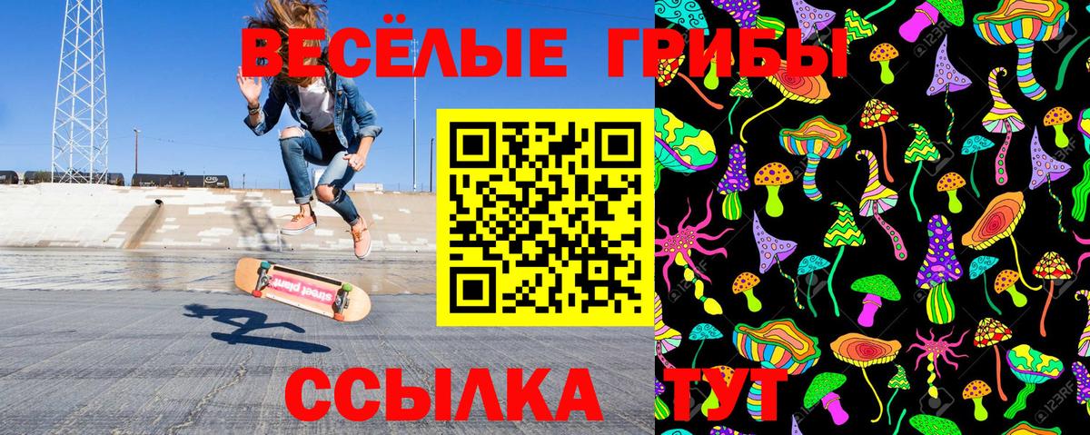 Псилоцибиновые грибы мицелий  Вход с VPN  Кондопога 