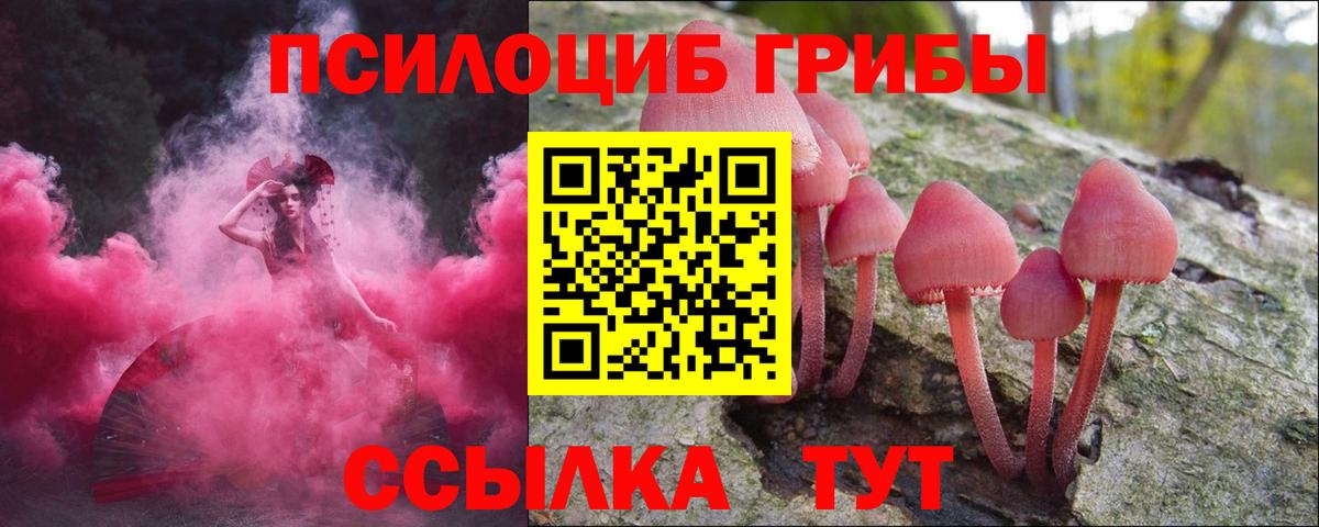 Галлюциногенные грибы Psilocybine cubensis Кондопога